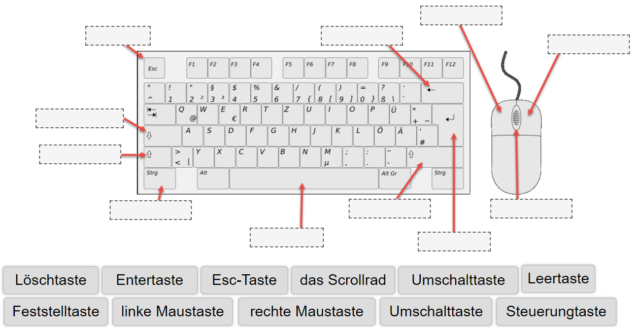 Die Computertastatur – wichtige Tasten – Lernen im Netz